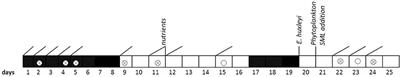 Organic Matter in the Surface Microlayer: Insights From a Wind Wave Channel Experiment